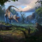 Gene on the X chromosome may help explain high multiple sclerosis rates in women