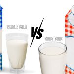 Carnivorous ‘death ball’ sponge among new species found in depths of Southern Ocean | Oceans