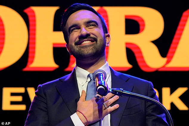 Zohran Mamdani, the New York assemblyman who has become a rising voice on the Democratic left, tapped into that energy in his own insurgent, winning campaign for mayor in the Big Apple