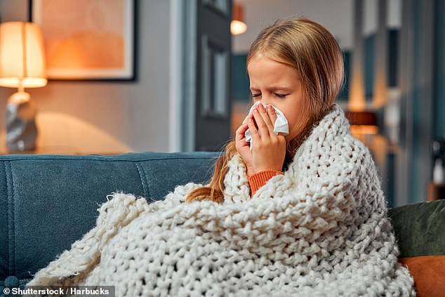  Doctors brace for another record-breaking flu season as new variant emerges that evades immune system