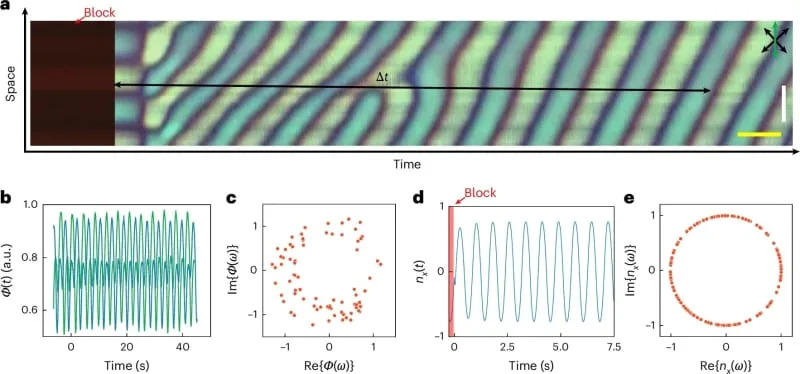 Space-time image of an experimental realization to measure the relative time phase. (CREDIT: Zhao & Smalyukh, 2025, Nature Materials)