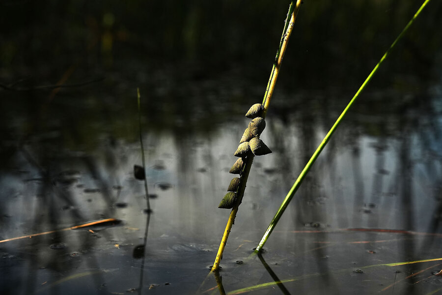  EPA’s new clean-water rules: What a rancher, builder, and scientist say
