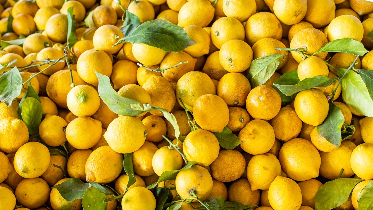  7 Benefits of Lemon Water, Explained by the Experts