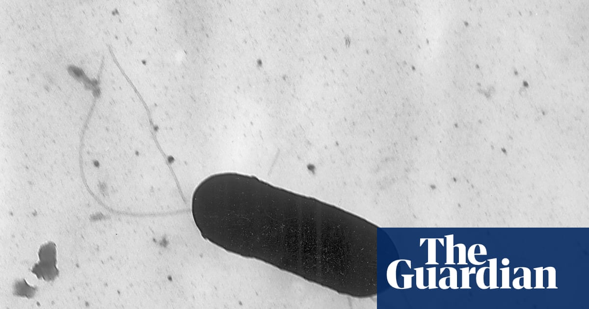  Listeria outbreak in pasta meals linked to six deaths across 18 US states | US healthcare