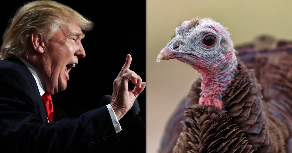  Trump Makes 1 Very Weird Thanksgiving Gaffe, And His Haters Are Gobbling It Up