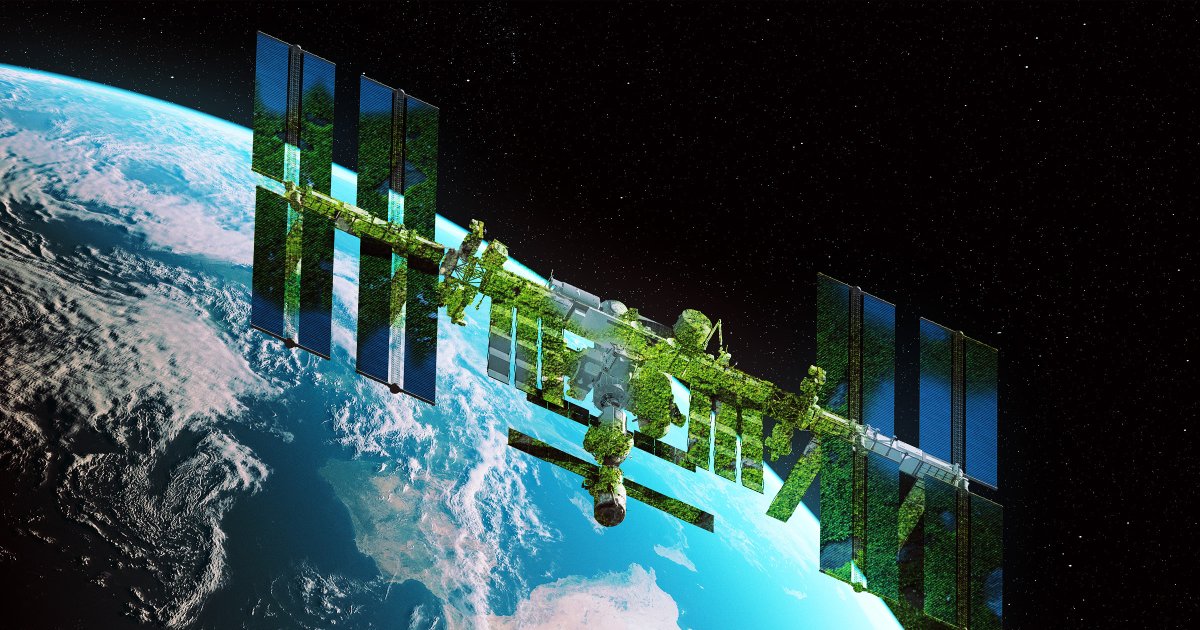  Scientists Intrigued by Moss Surviving on Exterior of Space Station