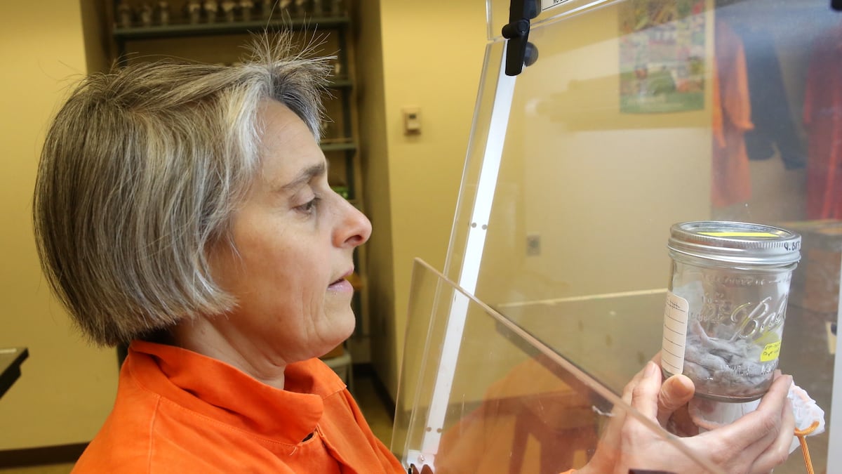  PSU study looks at curbing microplastic releases from washers and dryers