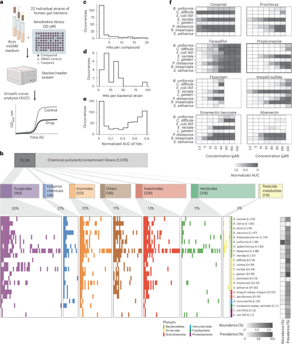  Industrial and agricultural chemicals exhibit antimicrobial activity against human gut bacteria in vitro