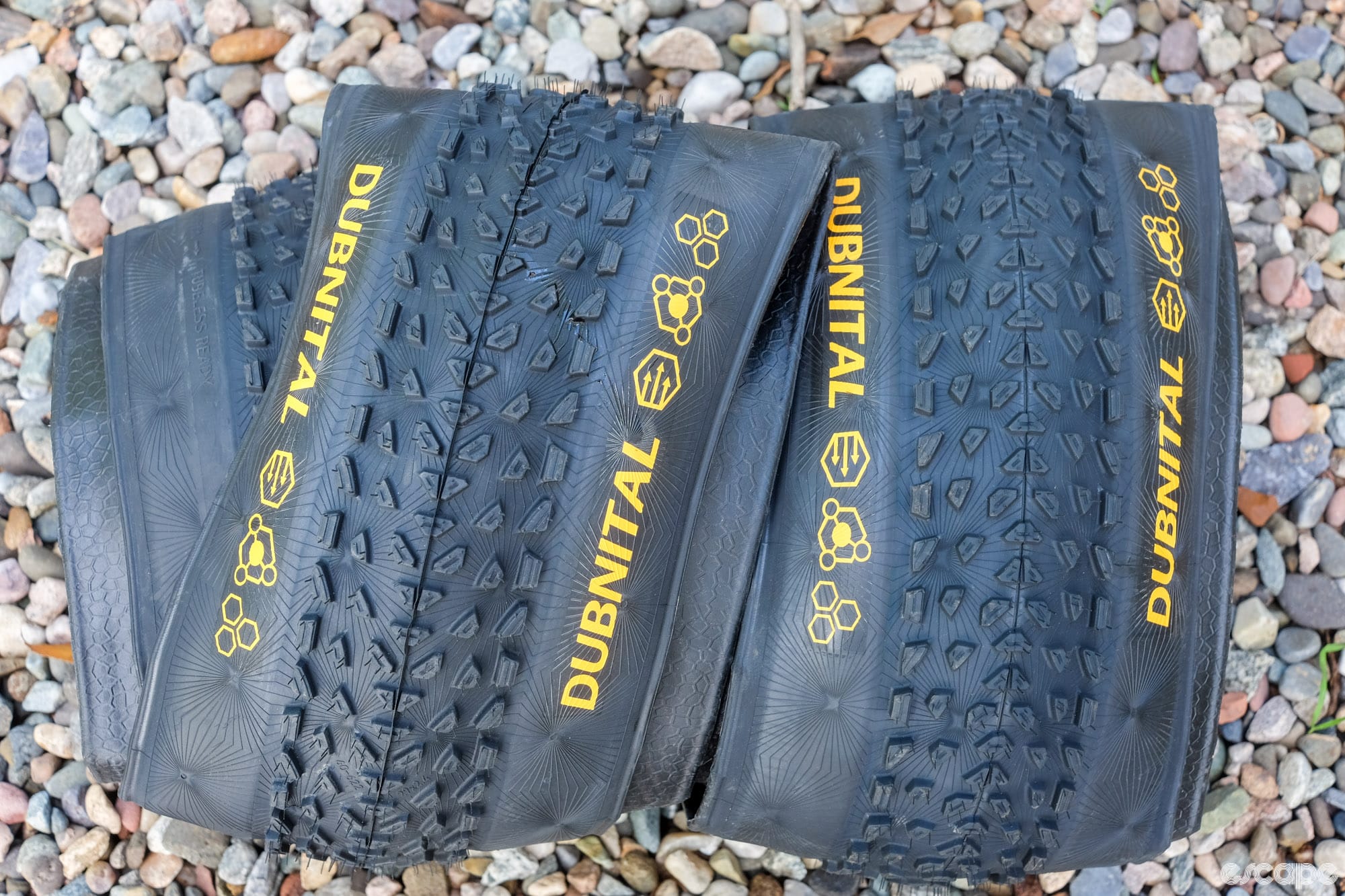  Review: Continental Dubnital Rapid 2.4