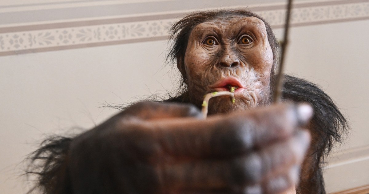  Mystery foot suggests a second early human relative lived alongside Lucy