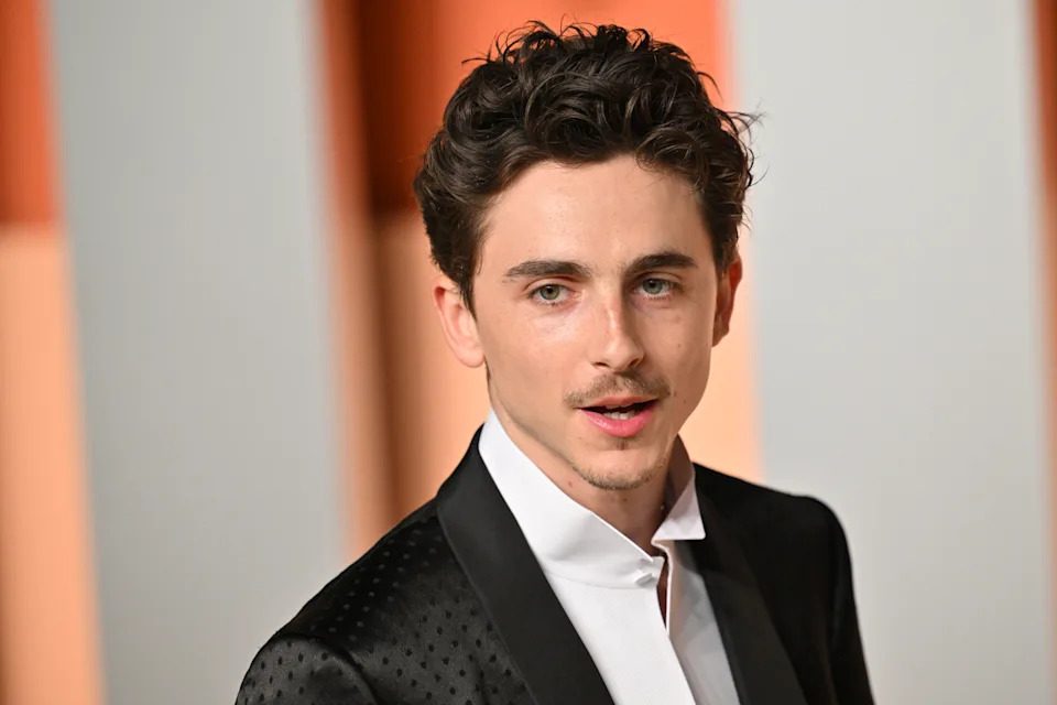 Timothée on a red carpet