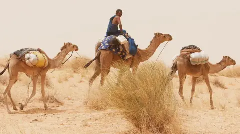 AFP via Getty Images A Tuareg man rides a camel with some goods on it, with another camel in front and at the back, in Mali (archive shot)