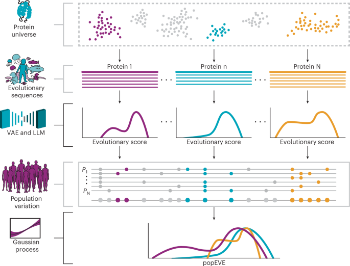  Proteome-wide model for human disease genetics