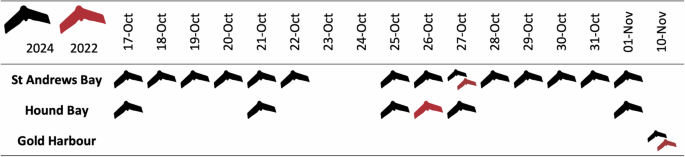  Highly Pathogenic Avian Influenza Viruses (HPAIV) Associated with Major Southern Elephant Seal Decline at South Georgia