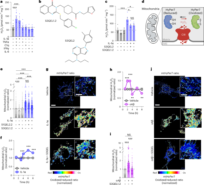  Mitochondrial complex III-derived ROS amplify immunometabolic changes in astrocytes and promote dementia pathology