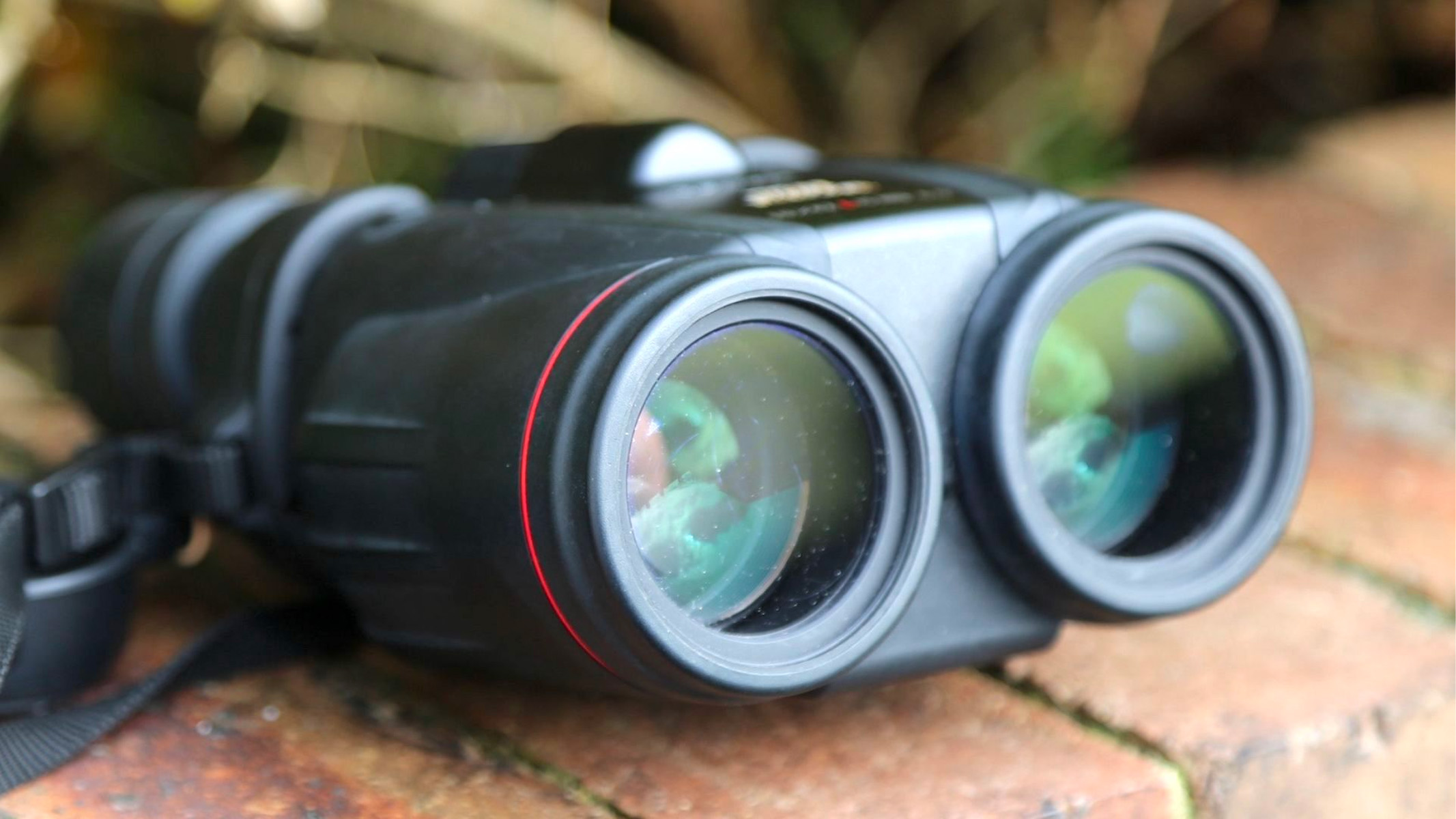 Image shows Canon 10x42L IS WP binoculars