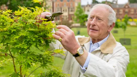 MILLIE PILKINGTON/ PA MEDIA King Charles pruning a plant at Sandringham in a picture from Country Life magazine