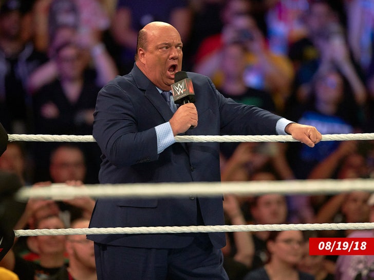 Paul Heyman WWE Sub