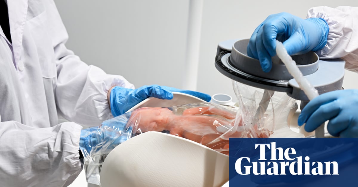  This machine could keep a baby alive outside the womb. How will the world decide to use it? | Infant and child mortality