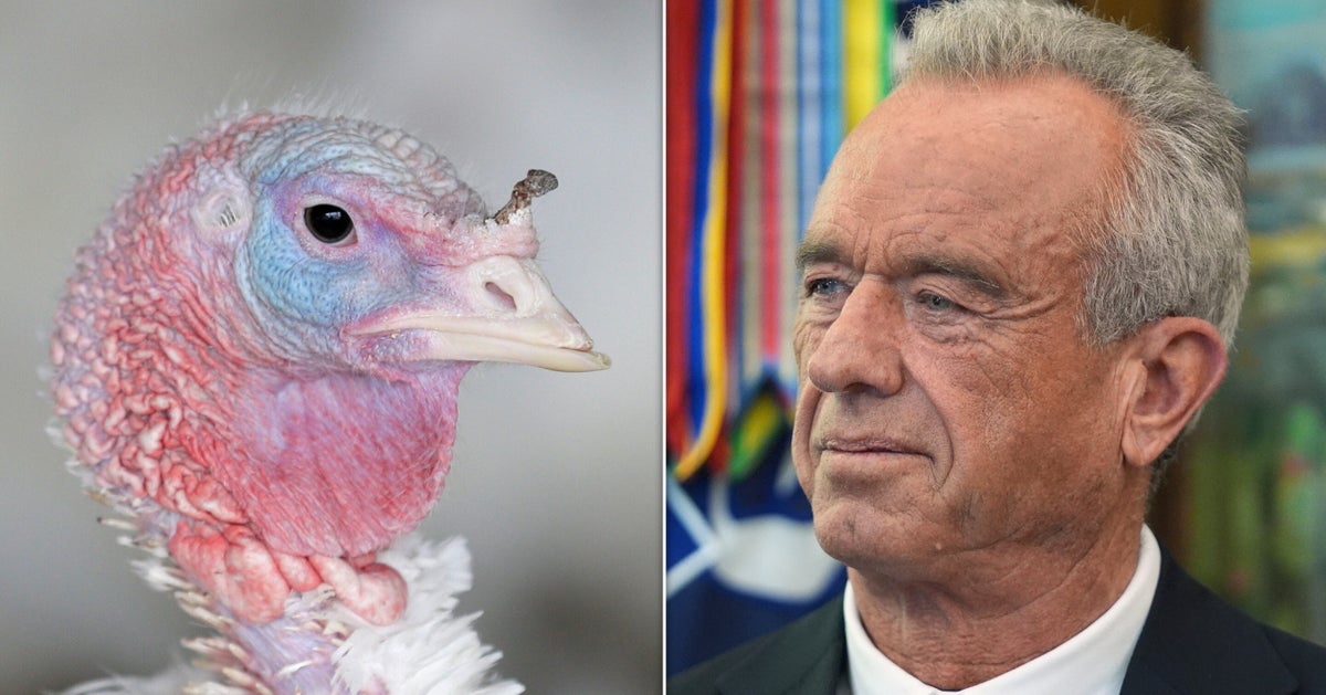  Bird Flu’s Back And This Time Fewer People Are Keeping Tabs On It