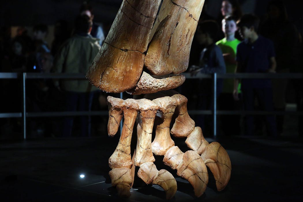  Titanosaurs were the biggest land animals Earth’s ever seen − these plant-powered dinos combined reptile and mammal traits