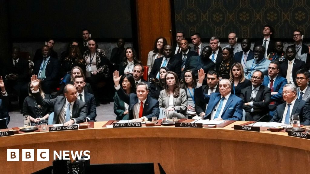  UN Security Council backs Trump plan for Gaza
