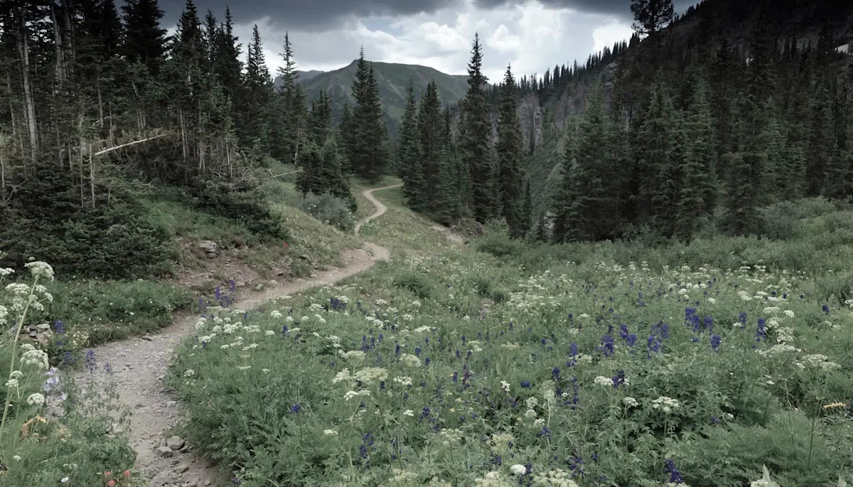  Scientists make stunning discovery in one of most pristine places in US: ‘Significant’