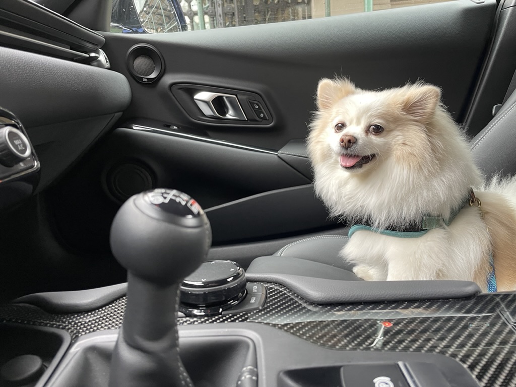 86294113 7941 4ba2 91b1 E96d6ec8f0ab 1 105 C