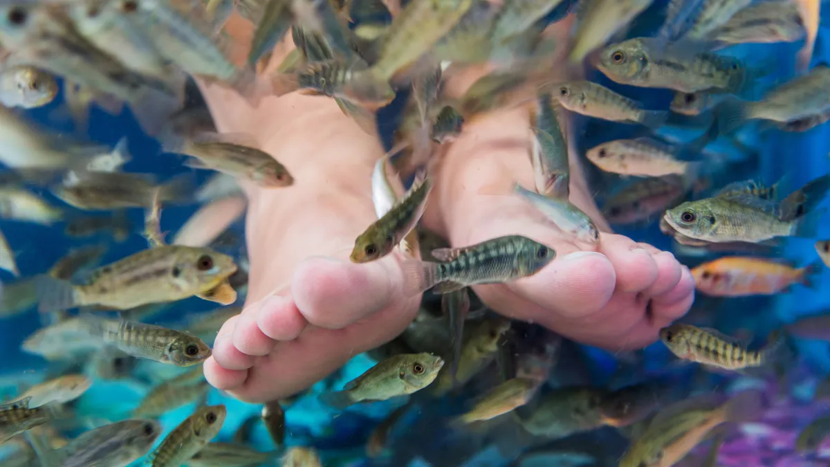  ‘Fish pedicures’ are viral on TikTok. Dermatologists beg: Don’t do it.
