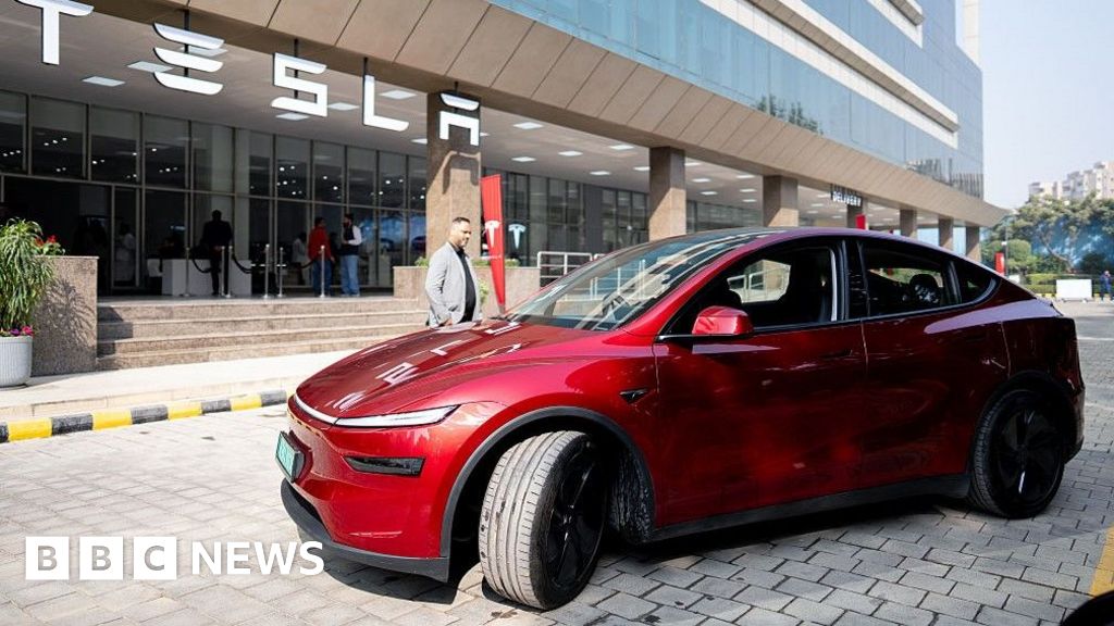 Tesla highlights low running costs amid disappointing India sales