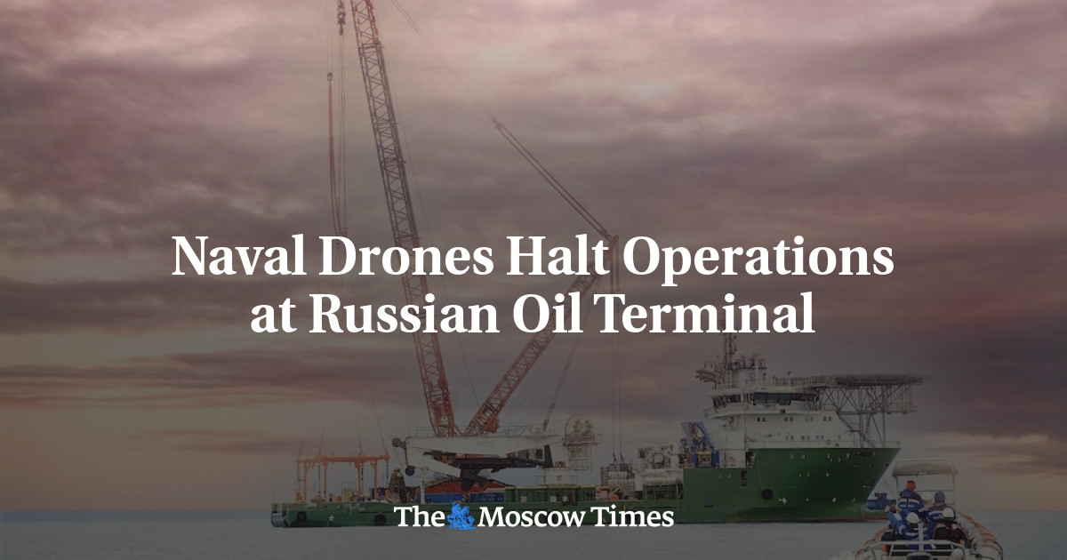  Naval Drones Halt Operations at Russian Oil Terminal