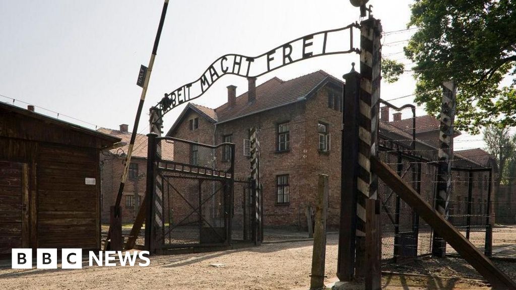  Auction of Nazi death camp artefacts cancelled, Poland’s DPM says