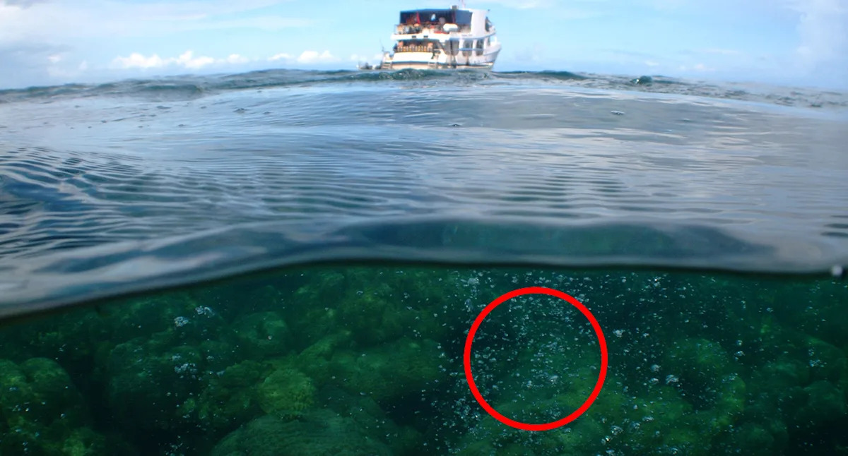  Mass of bubbles near underwater volcano sparks ‘urgent’ warning to Australia