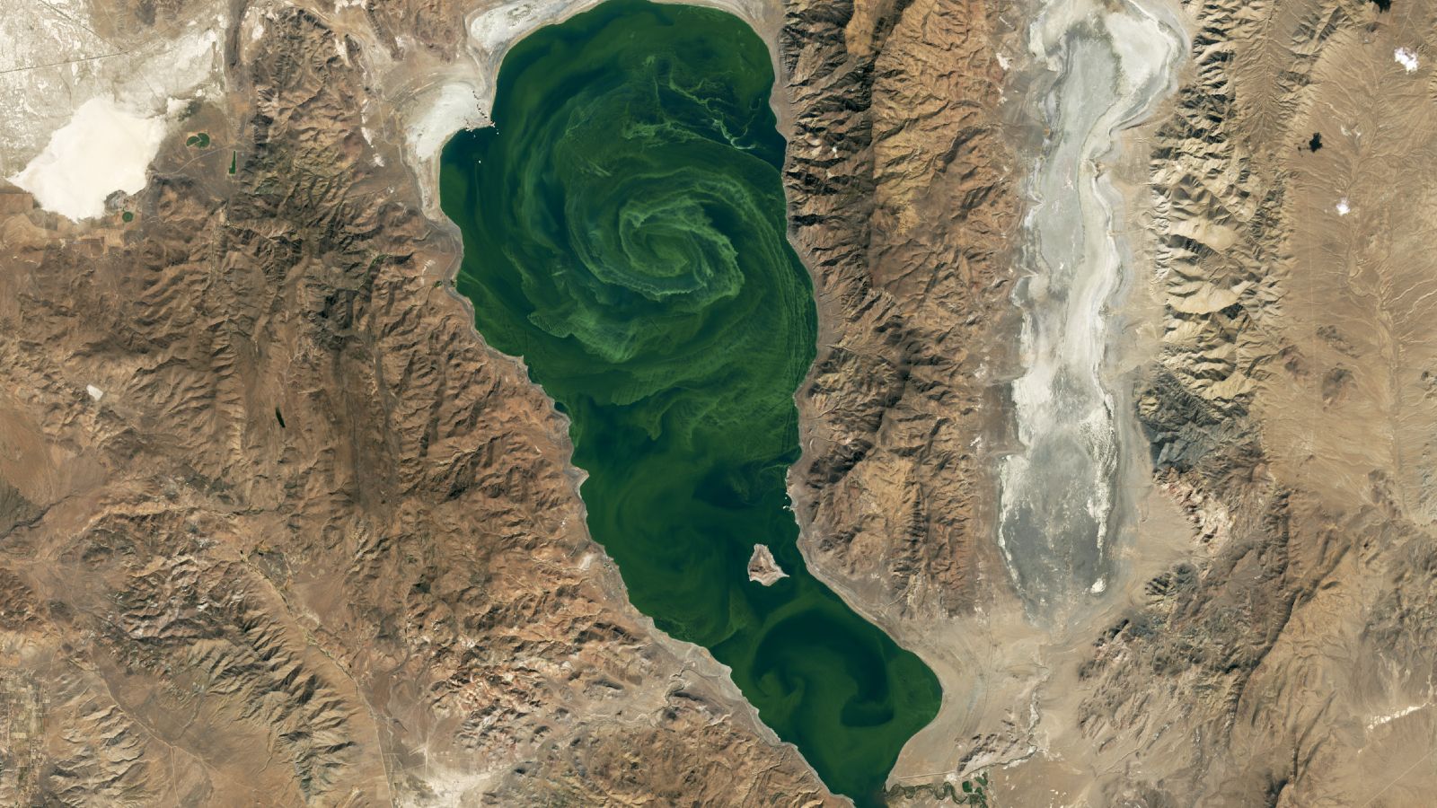  Extreme bloom of toxic algae swirls in Nevada’s ‘Pyramid Lake’ — Earth from space