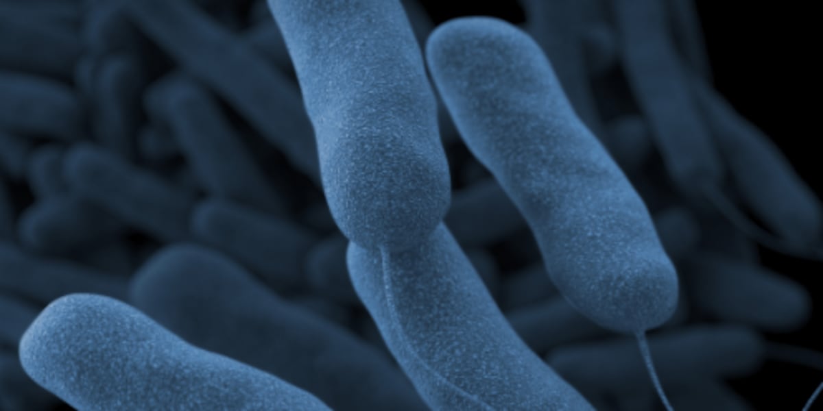  2 cases of Legionnaires’ disease confirmed at Cincinnati hospital