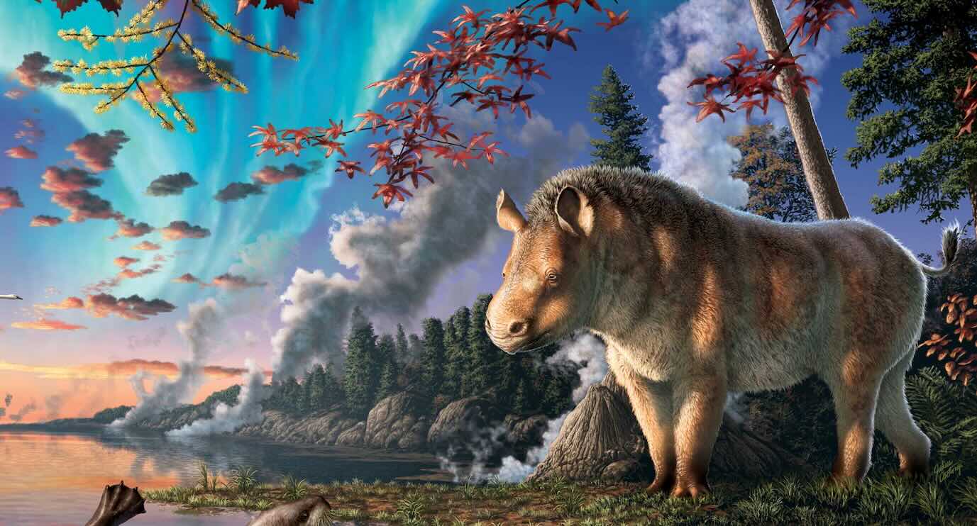  Evidence of Rhino Living in Frigid Arctic Circle 23 Million Years Ago Discovered in New Fossil
