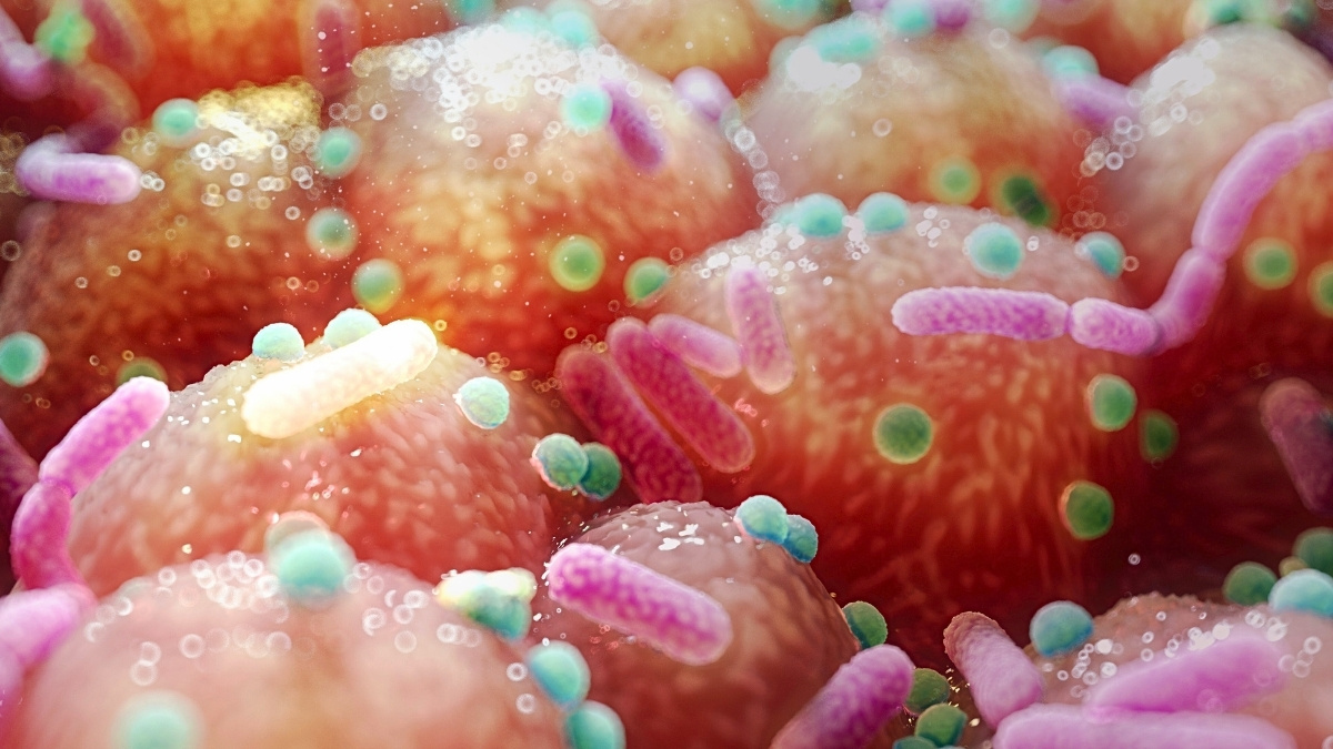  Parkinson’s Link to Gut Bacteria Suggests Unexpectedly Simple Treatment : ScienceAlert