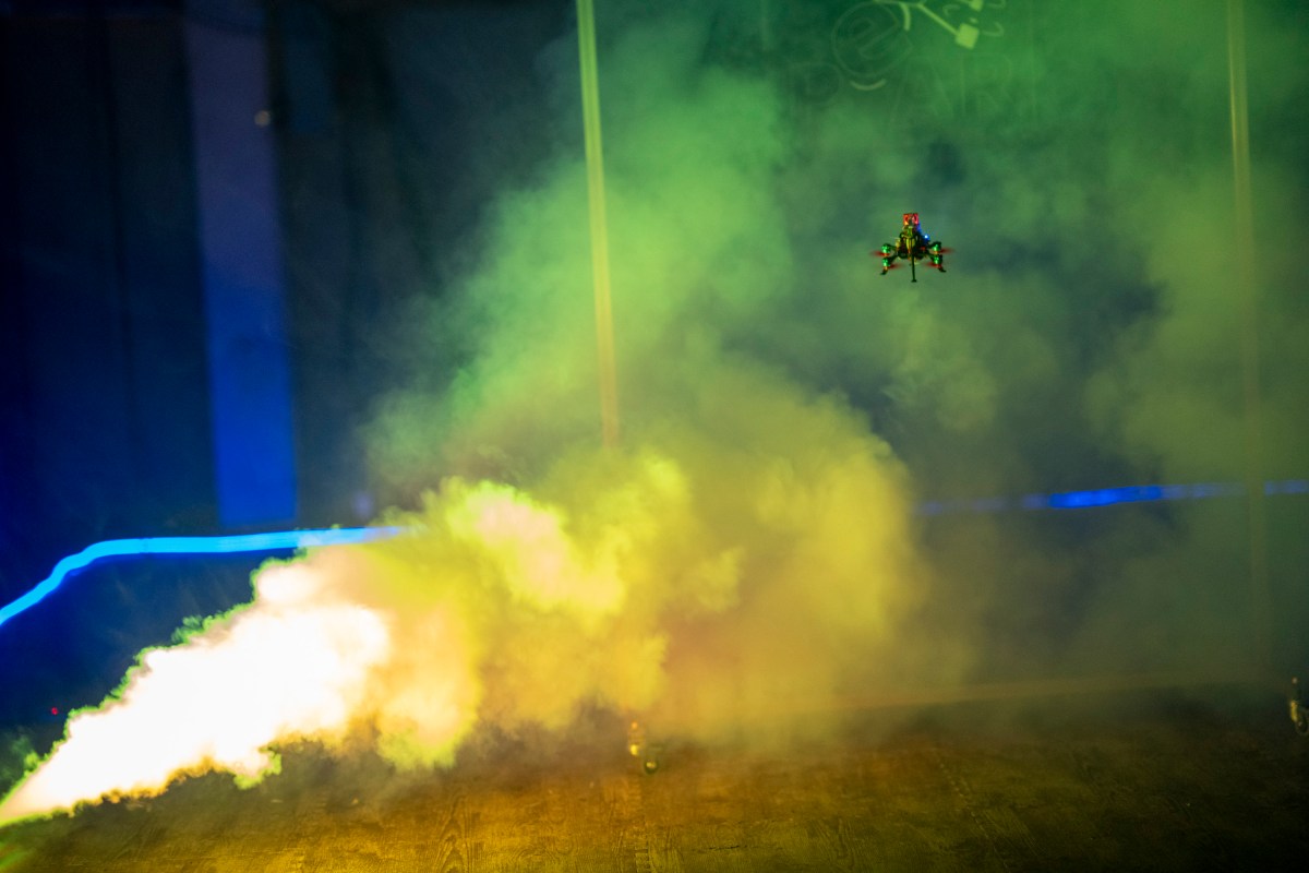  Why a researcher is building robots that look and act like bats 