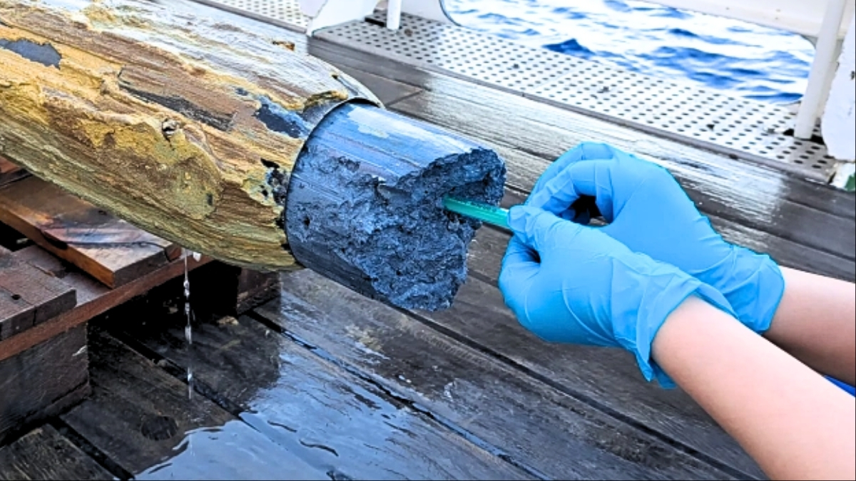  Scientists Discover Mysterious Signs of Life in Bizarre Blue Volcanic Goo : ScienceAlert