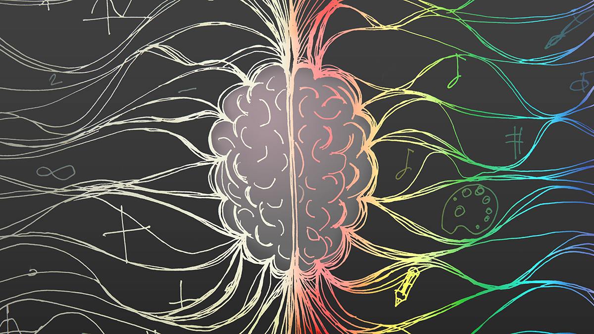  Hidden Rhythms in Your Brain And Gut Share a Surprising Link : ScienceAlert