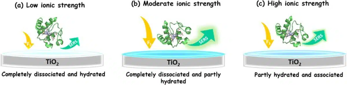 By Adjusting The Ionic Strengths Through Changing The Concentration Of The Buffer Ions, The Molecular Force And The Interfacial Behavior Of Cytochrome C (cyt C) And Tio2 Are Systematically Studied