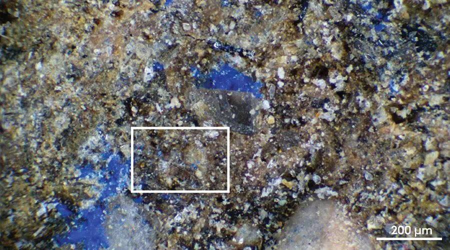 Close Up Of Nano Sized Blue Particles, Positioned Next To Visible Pigment Clusters.