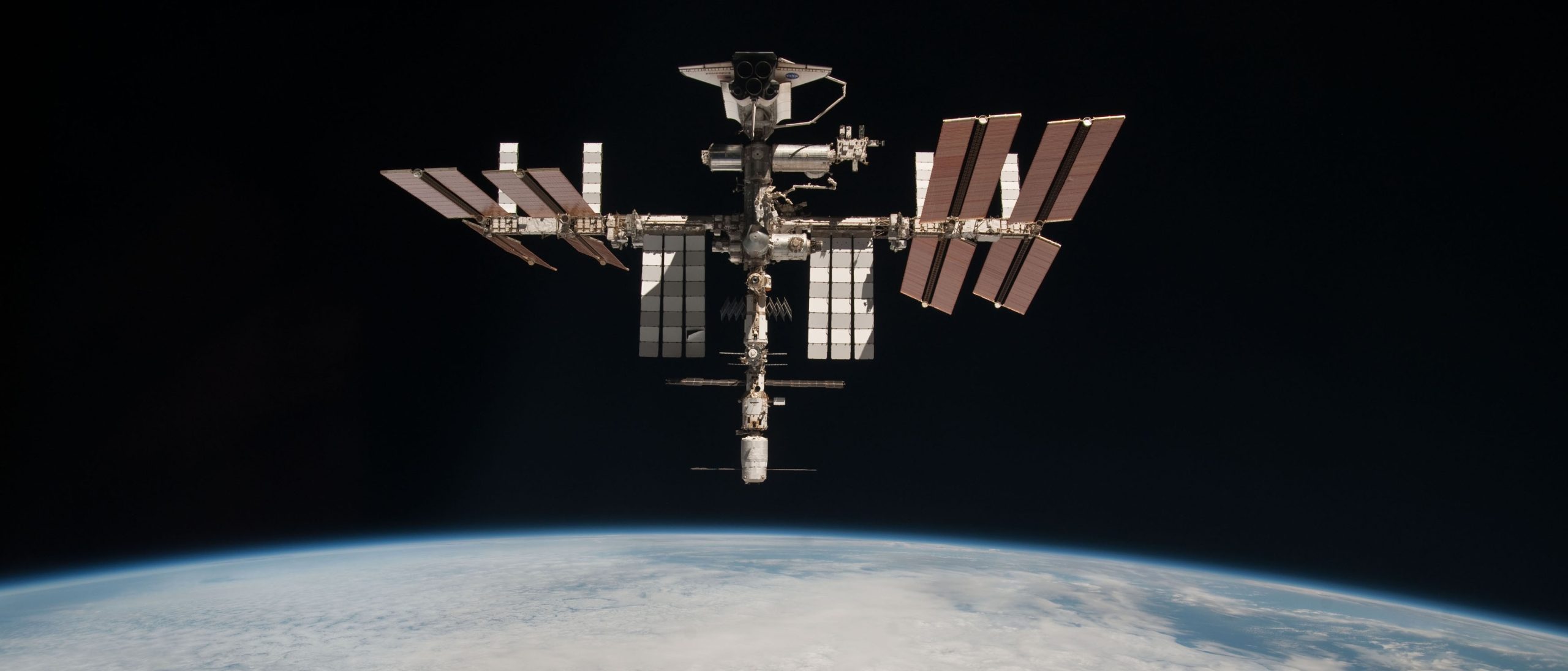  One Small Step For A Moss, One Giant Leap For Mosskind