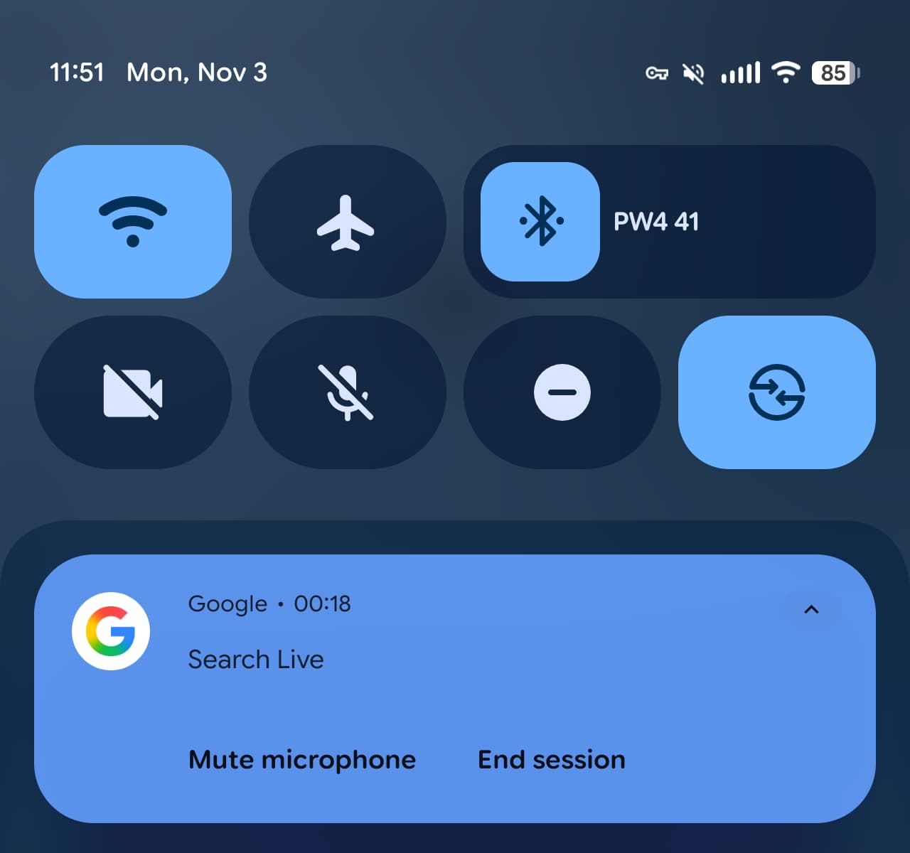 Google Search Live controls