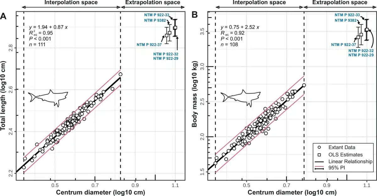 Graphs Showing The Total Length (tl) And Body Mass (bm) Predictions For The Vertebral Centra Of Cardabiodontids From The Darwin Formation