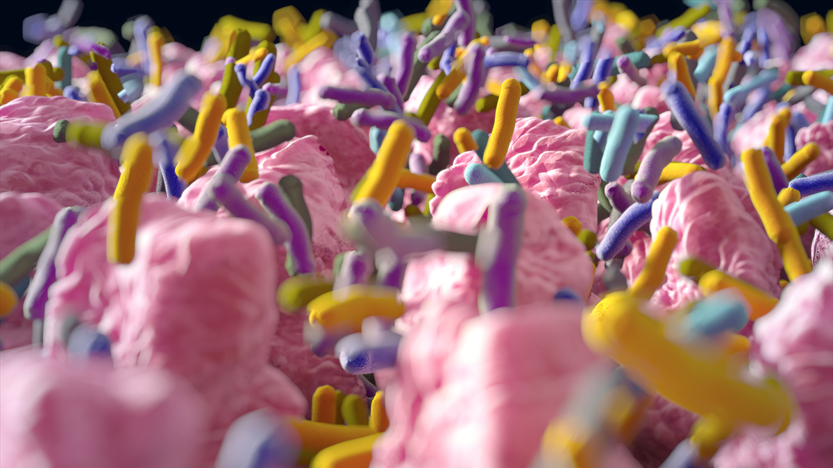  A Crucial Genetic Mutation Behind Crohn’s Disease Has Finally Been Revealed : ScienceAlert