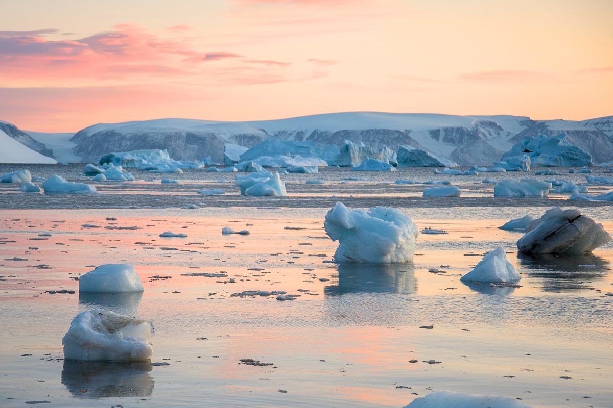  Scientists drop microphones to Arctic seabed, then 4m-long animals with huge tusks appear