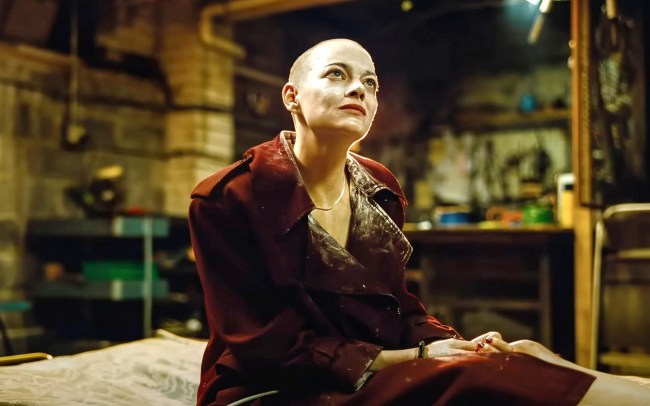  Why Yorgos Lanthimos Shot VistaVision in Basement Set Film