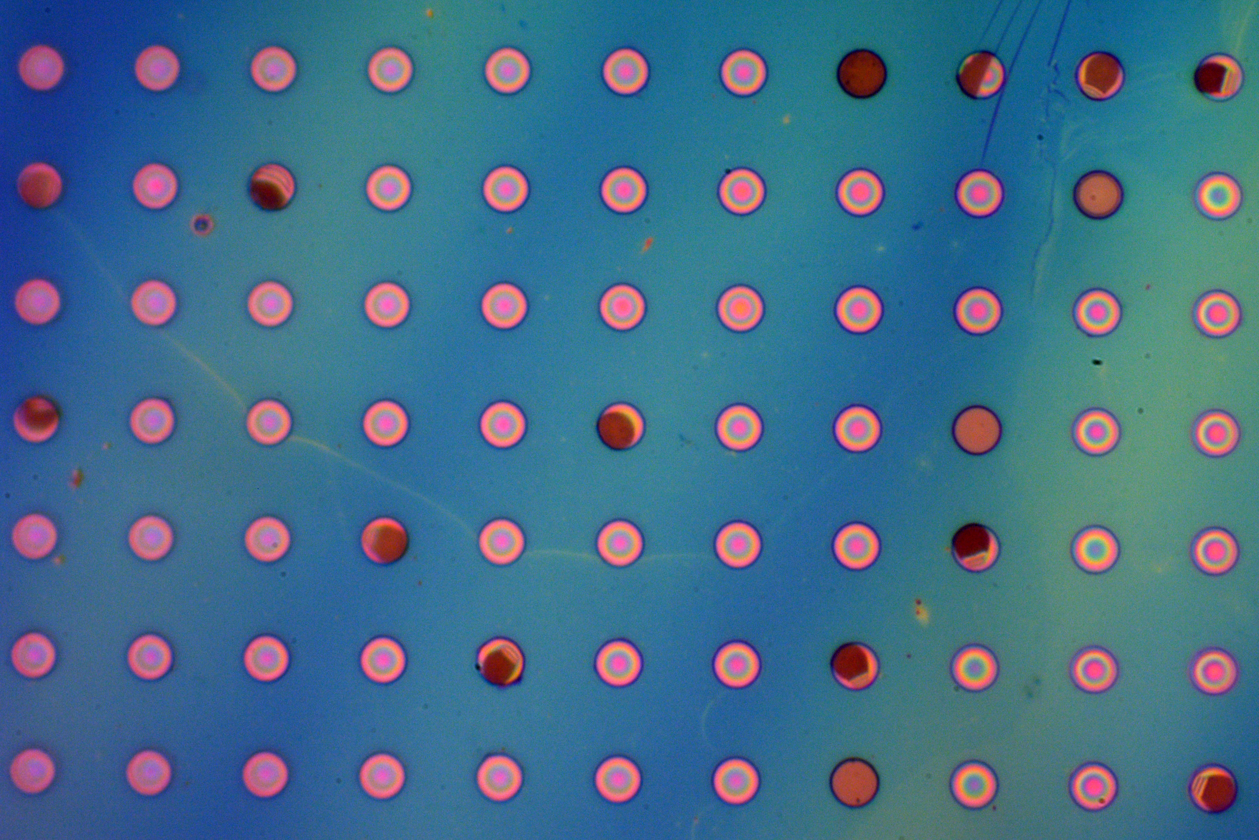  New lightweight polymer film can prevent corrosion | MIT News