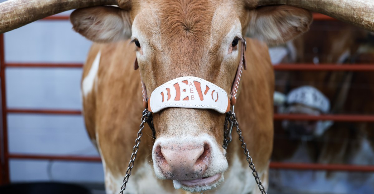  No. 20 Texas 34, Vanderbilt 31 final score: Horns hold on late against attempted comeback